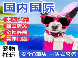 龙湾航空快运国际宠物托运 【国
